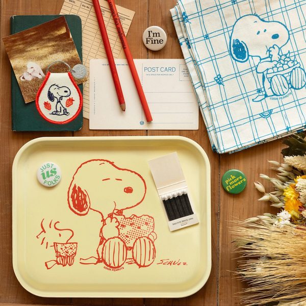 Snoopy & Woodstock Watermelon Tray | Friends Nyc Brooklyn Ny