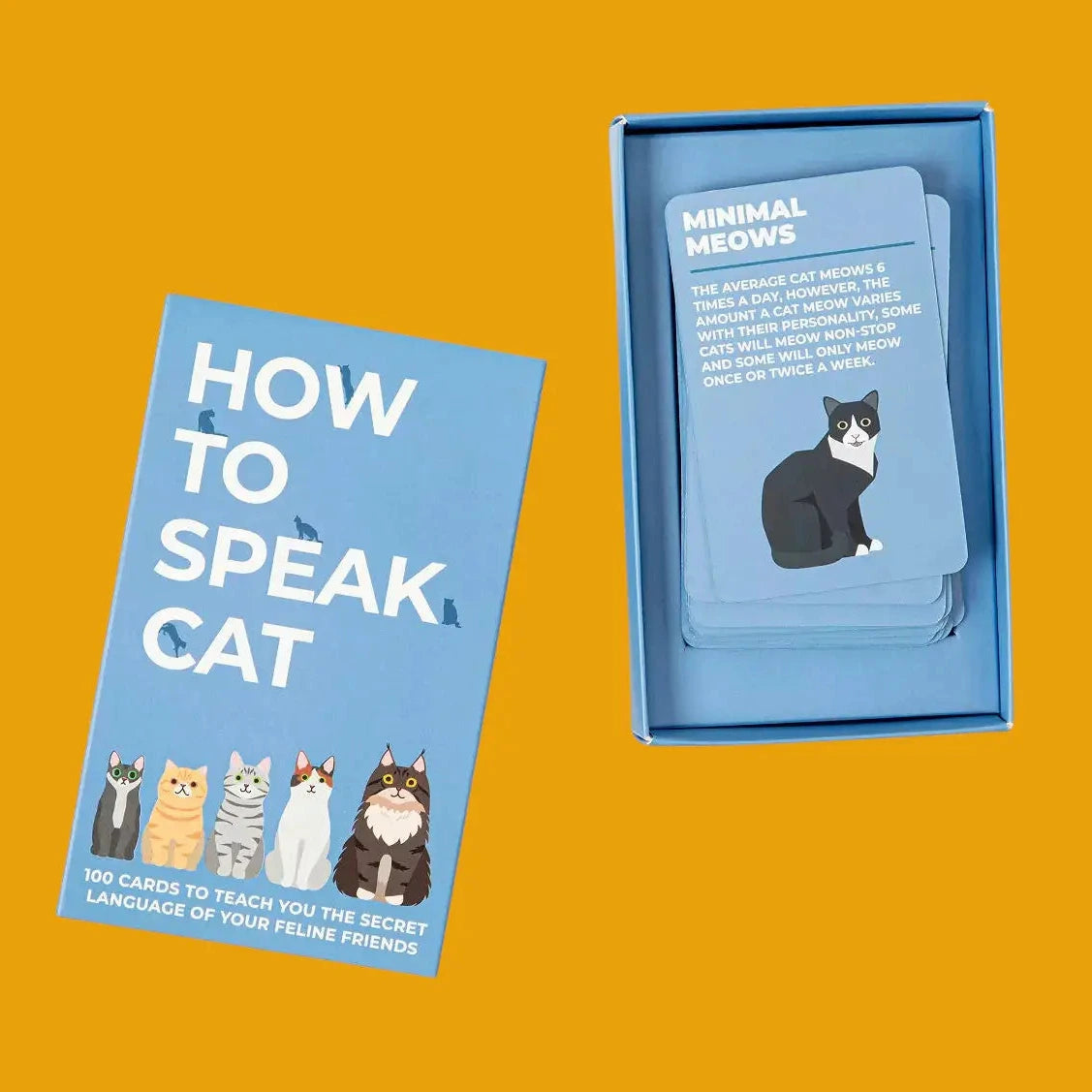 How to Speak Cat Activity Cards | Friends Nyc Brooklyn Ny