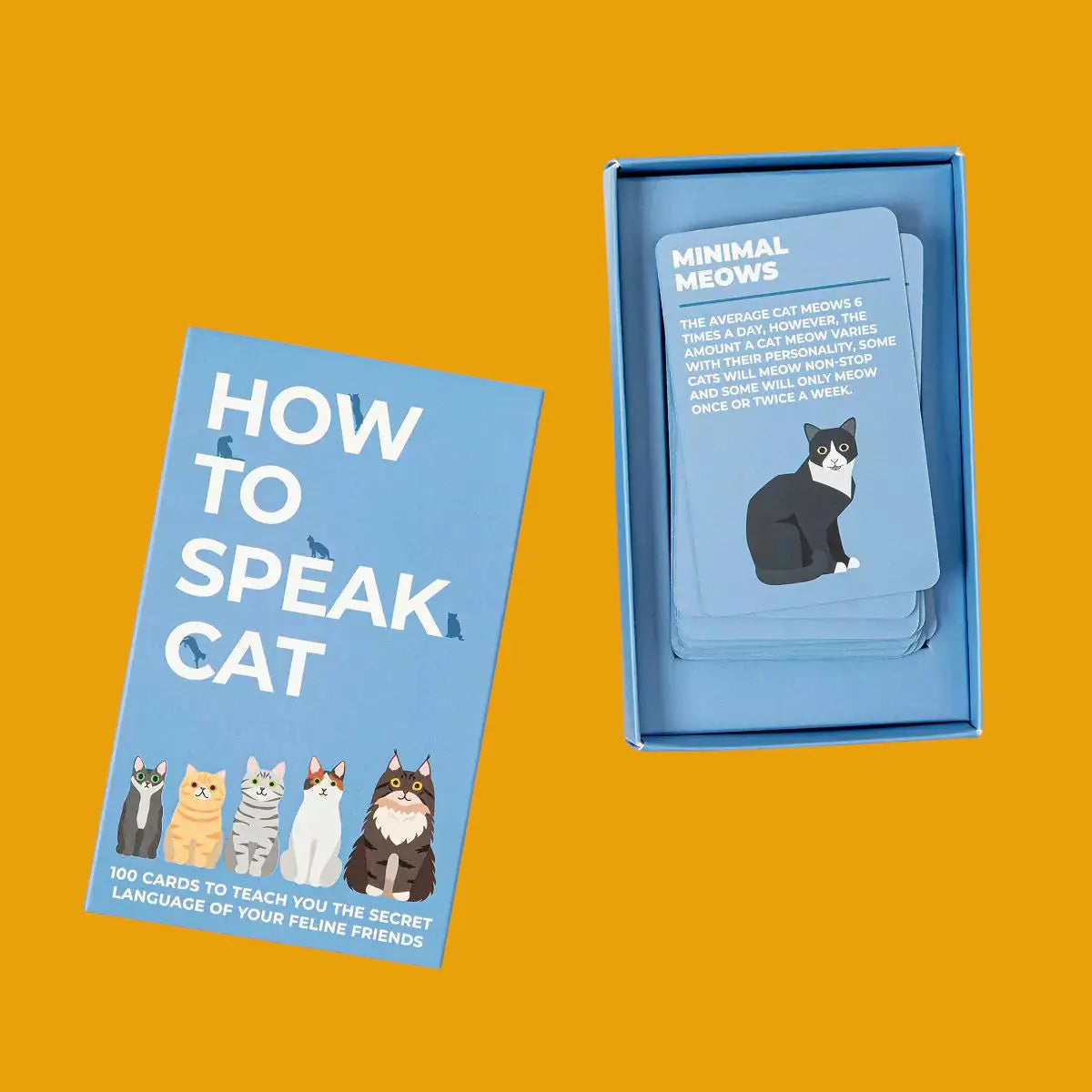 How to Speak Cat Activity Cards | Friends Nyc Brooklyn Ny