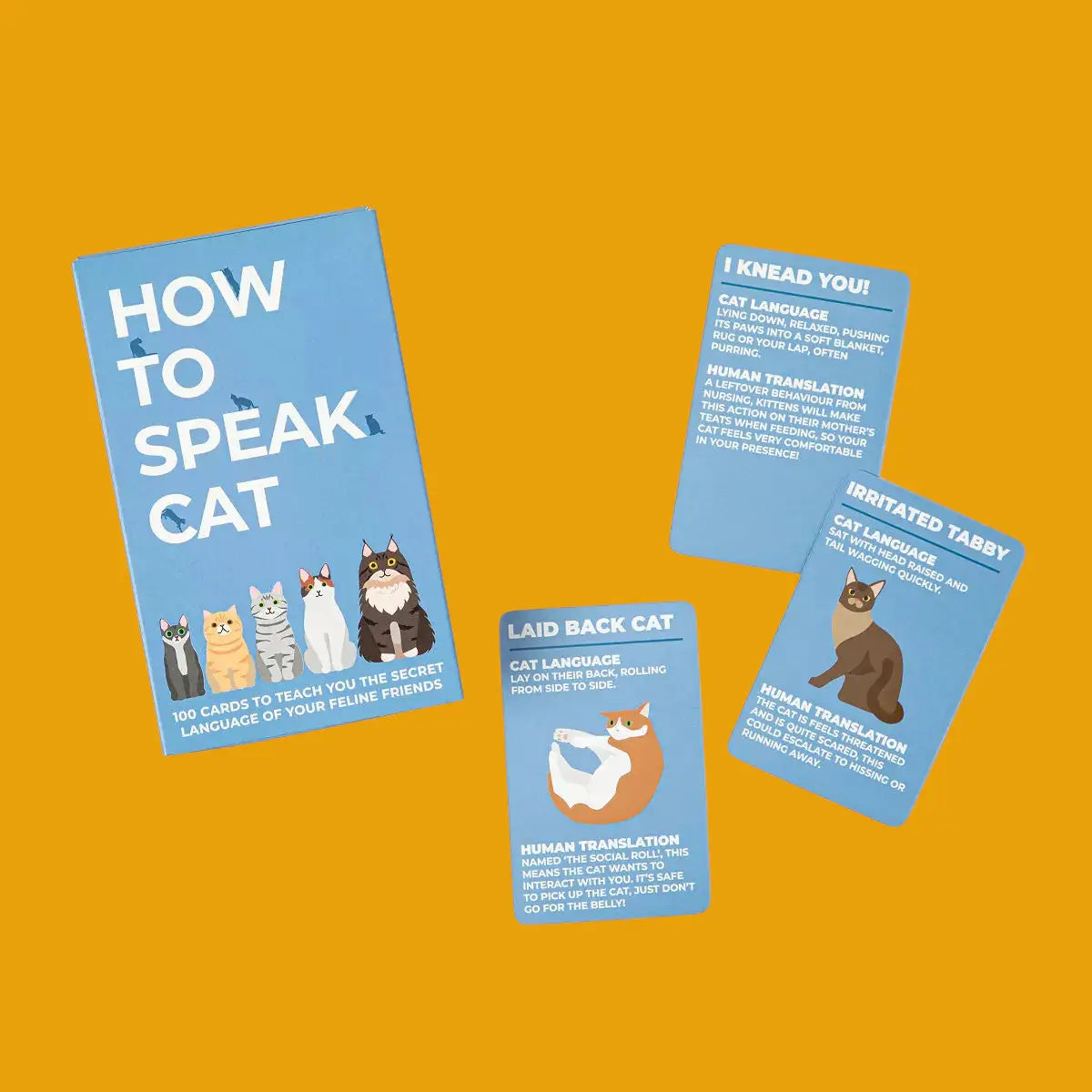 How to Speak Cat Activity Cards | Friends Nyc Brooklyn Ny