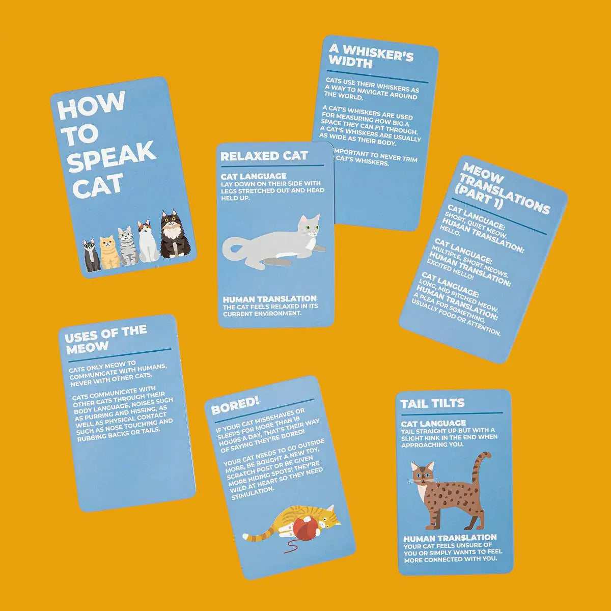 How to Speak Cat Activity Cards | Friends Nyc Brooklyn Ny