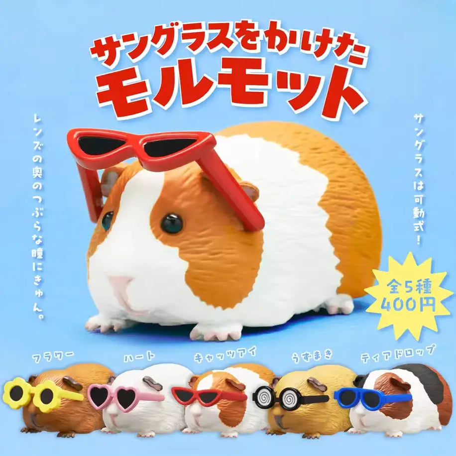 Sunglasses Guinea Pig Blind Box Kitan Club Kawaii | Friends