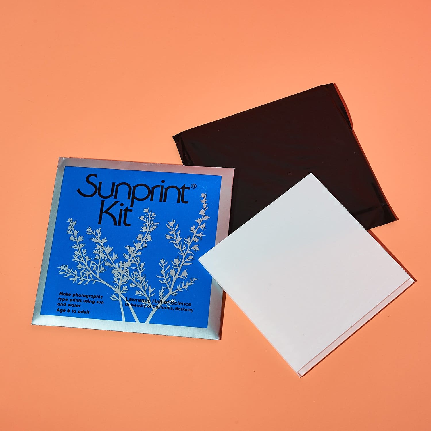 Sunprint Kit - Small Copernicus - Home Decor - Wares - Light