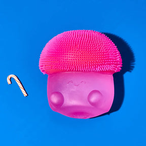 Super Duper Sugar Squisher Mushroom Assorted Squishy Toy