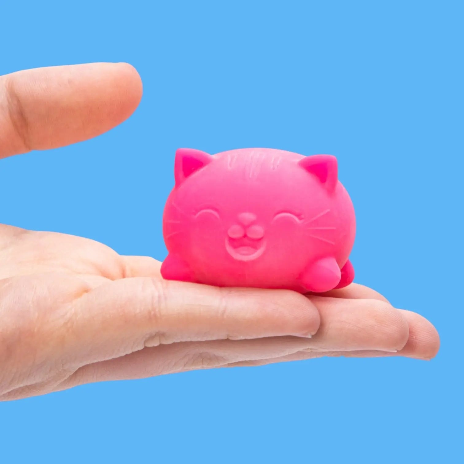 Teenie Cool Kittens Needoh - Multi Pack Needoh 3-pack