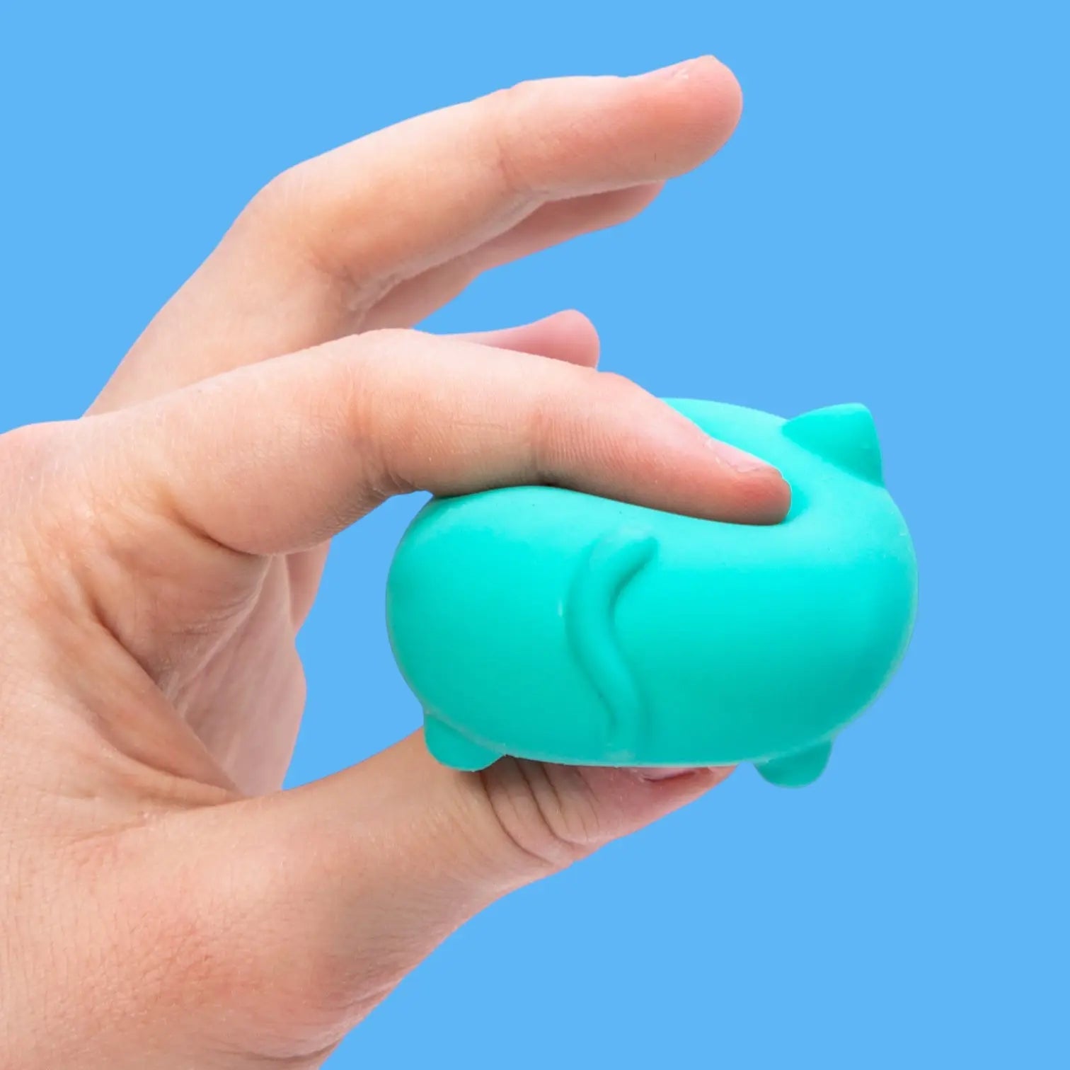 Teenie Cool Kittens Needoh - Multi Pack Needoh 3-pack