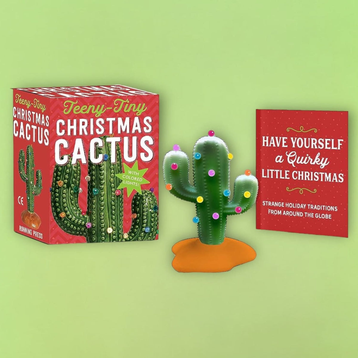 Teeny - Tiny Christmas Cactus Cactus - Christmas - Happy