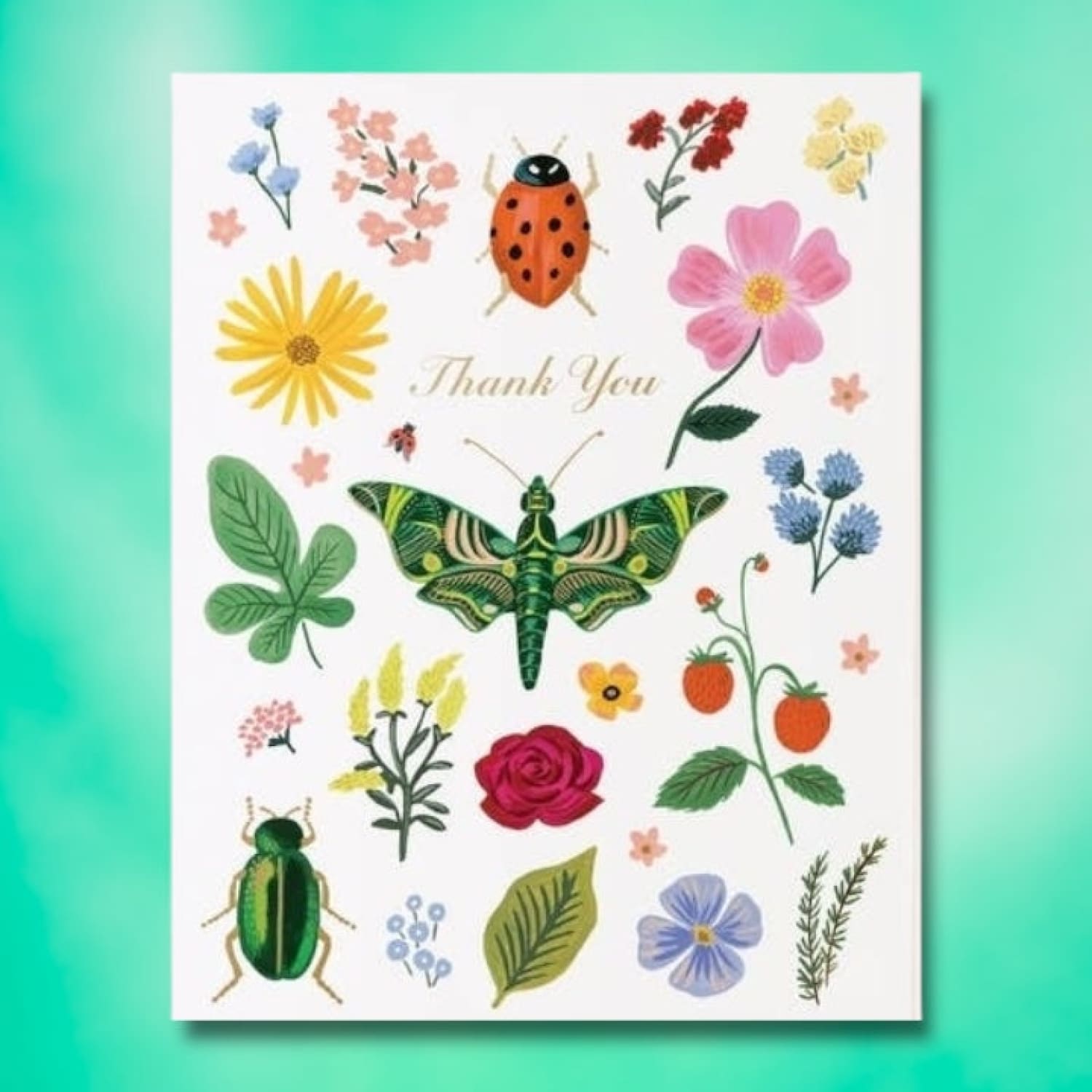 Thank You Curio Greeting Card A2 - Blank - Greeting Card