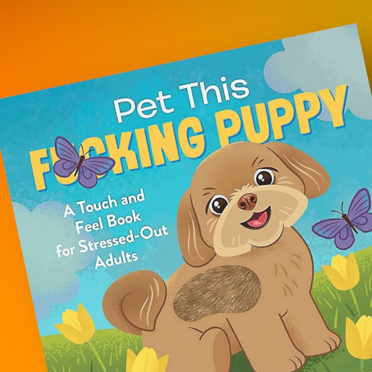 Pet This F*cking Puppy: a Touch-and-feel Book For
