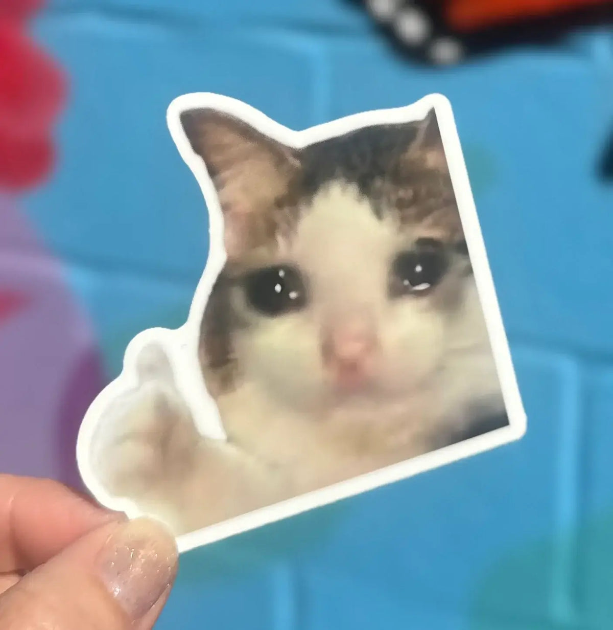 Thumbs Up Cat Sticker Meme Vinyl | Friends Nyc Brooklyn Ny