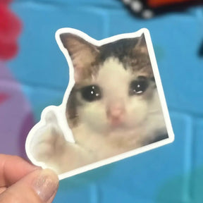 Thumbs Up Cat Sticker Meme Vinyl | Friends Nyc Brooklyn Ny