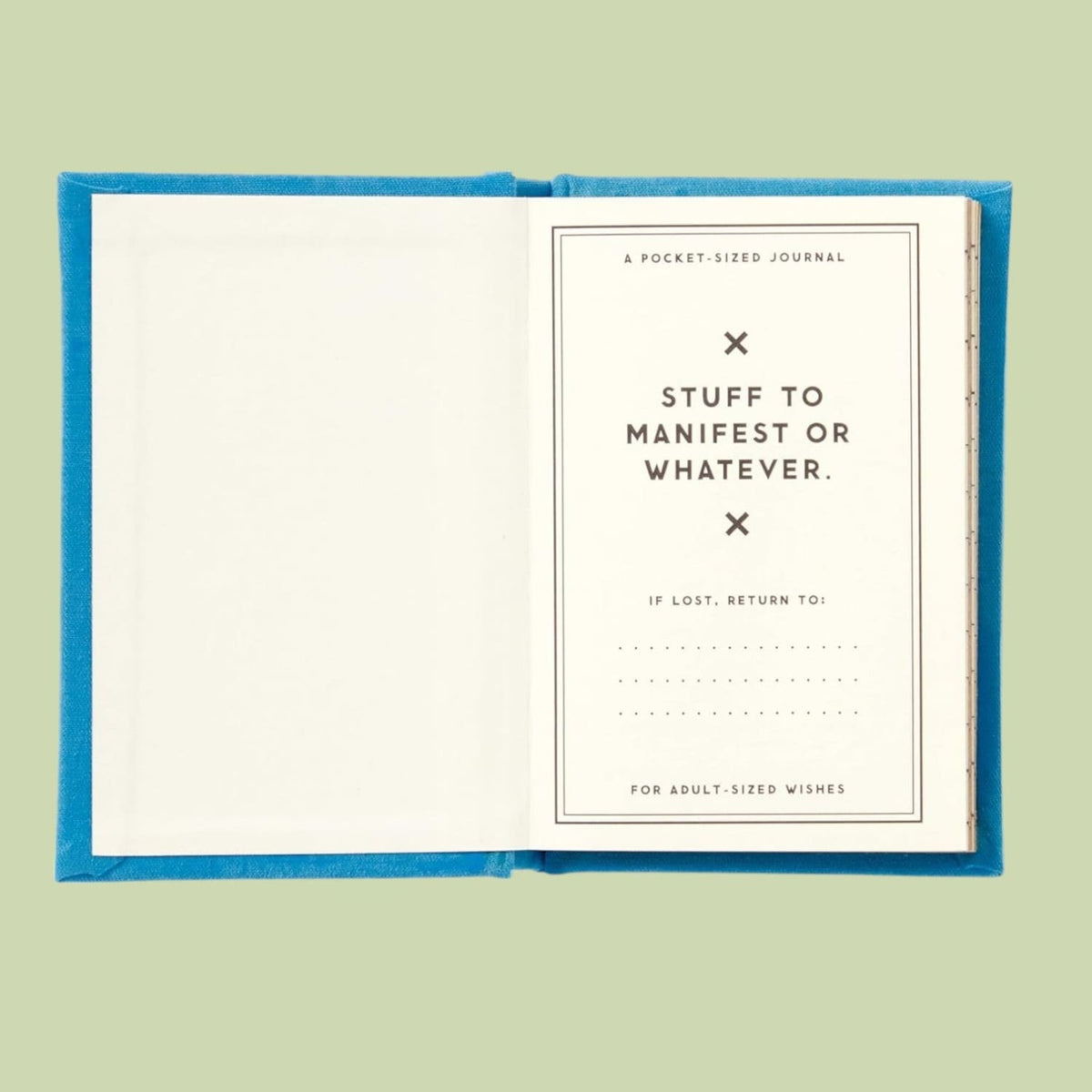 A Tiny Diary of Hopes and Dreams Book - Journal
