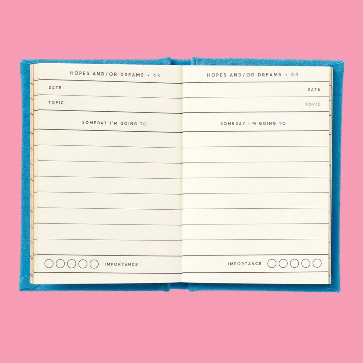 A Tiny Diary of Hopes and Dreams Book - Journal