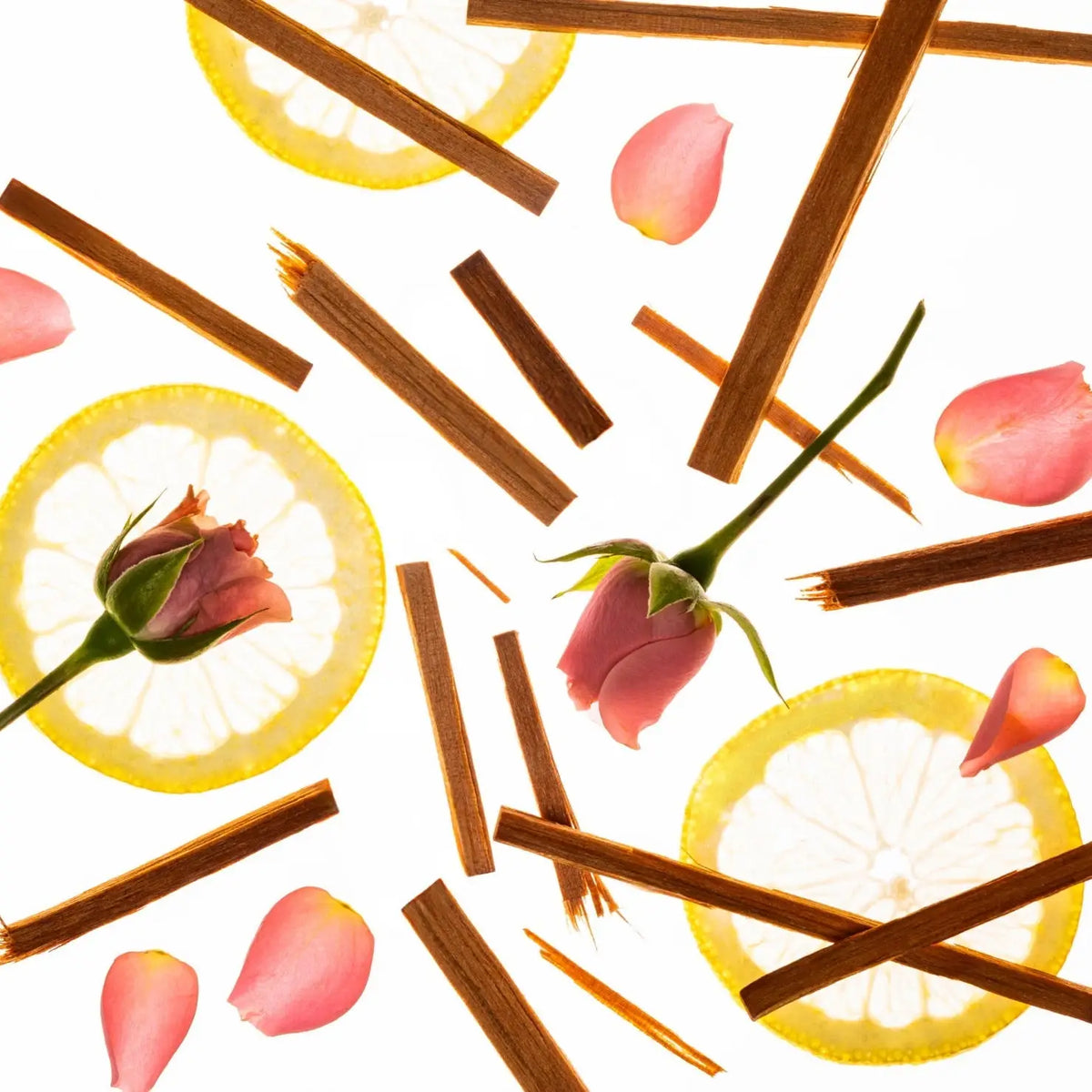 Cinnamon sticks, lemon slices, and pink rose petals on a white background