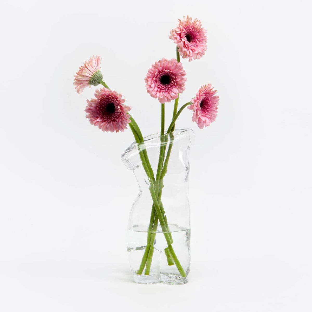 Transparent Body Glass Vase Accent Decor - Clear Vase -