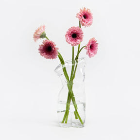 Transparent Body Glass Vase Accent Decor - Clear Vase -