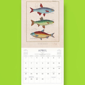 World of John Derian - 2025 Wall Calendar Art - Calendar