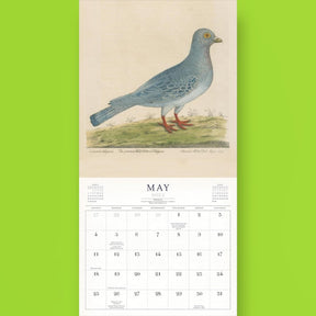 World of John Derian - 2025 Wall Calendar Art - Calendar