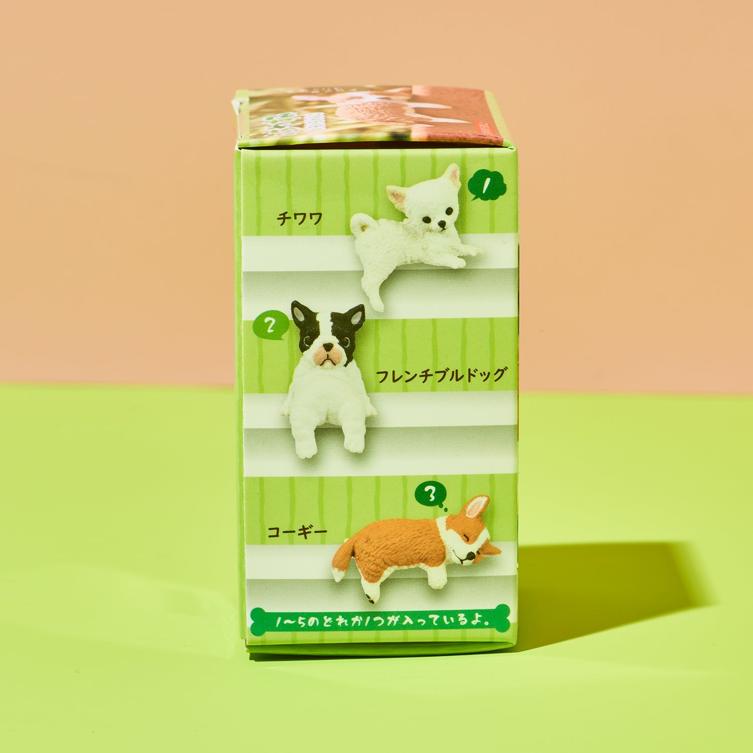 Box of dog figurines with a green and brown design on a two-tone background