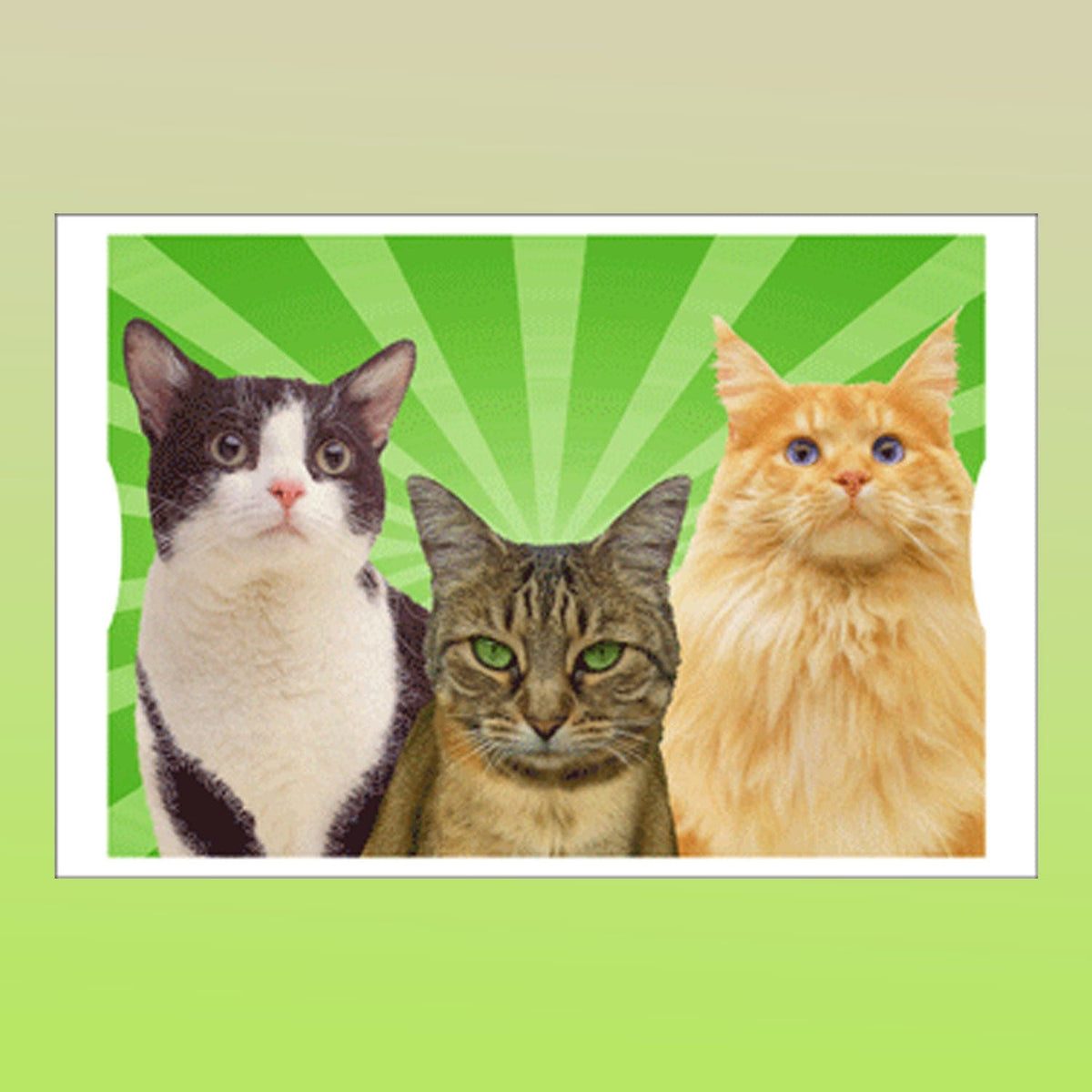 Animation Greeting Card - No Evil Cats 0423 - Groupbycolor -