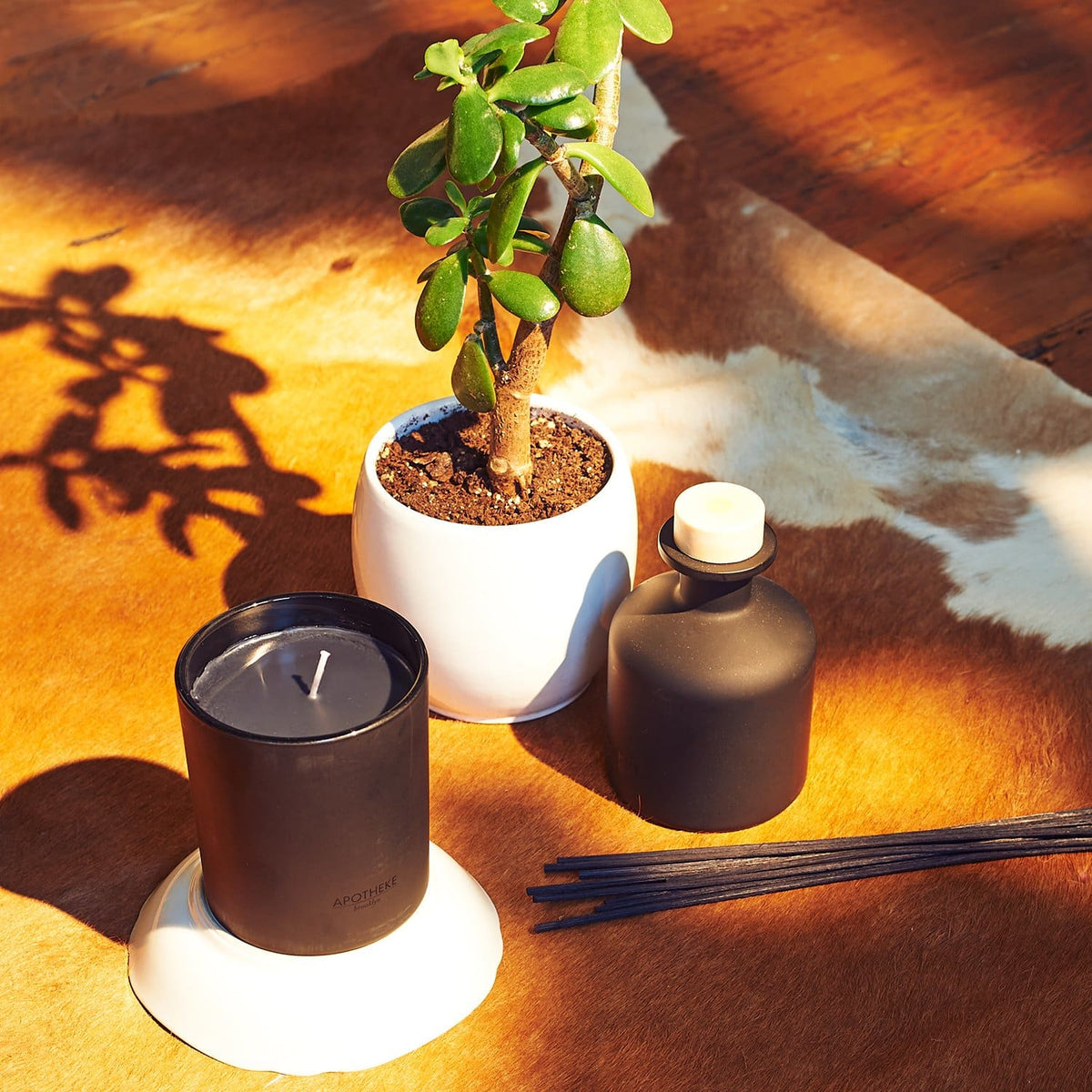 Binchotan Charcoal Candle Apotheke, Black Candle, Brooklyn, 