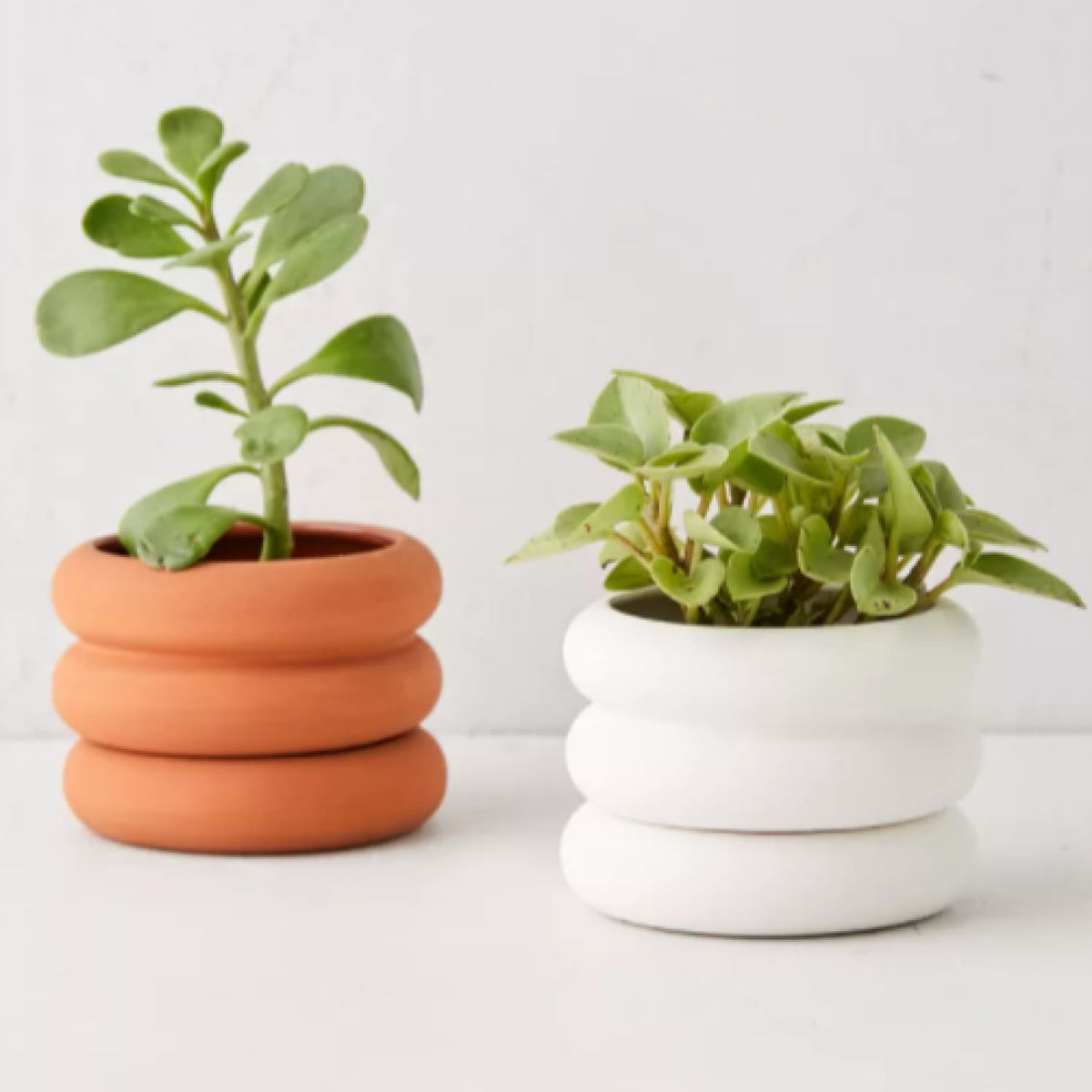Areaware Mini Stacking Planter Areaware - Elevated Design - 