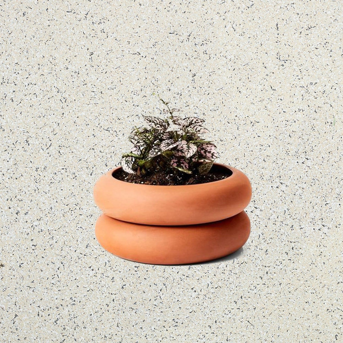 Stacking Short Planter Terracotta Ckspt1 Holditinurhand