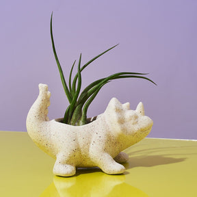 Dinosaur Plant Pot Asst Em2081 Animal Planter - Dinosaur - 