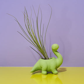 Dinosaur Plant Pot Asst Em2081 Animal Planter - Dinosaur - 