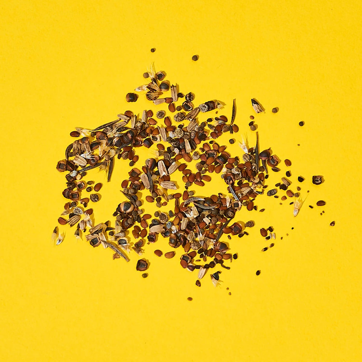 Garden Sprinkles Allgrownup - Garden - Seeds - Spring