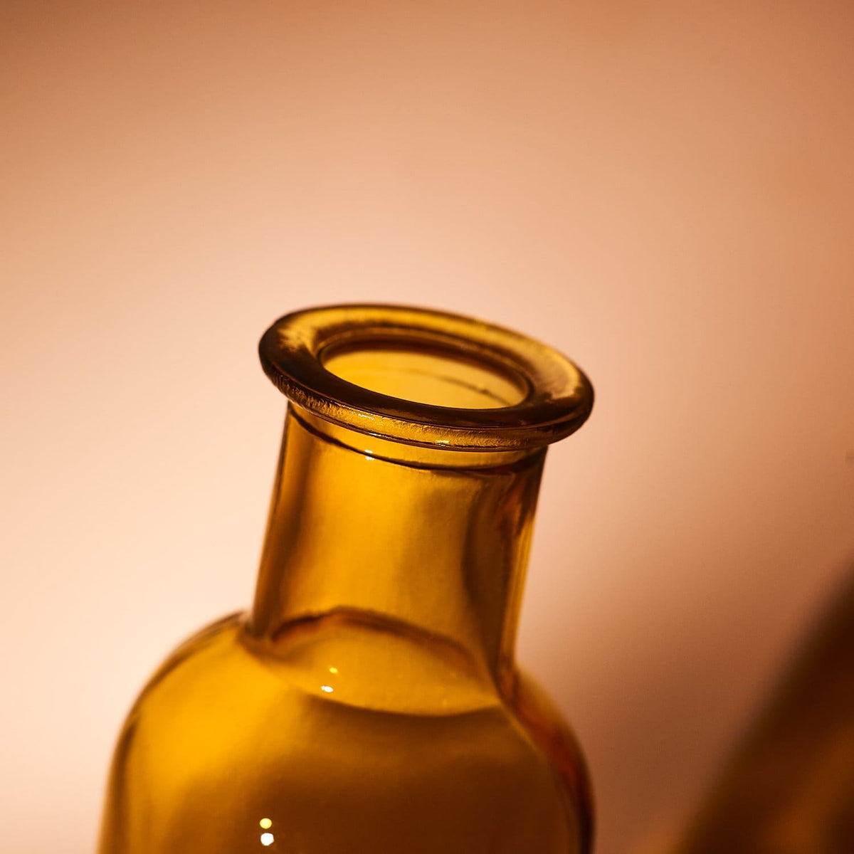 Glass Bottle Bud Vase - Amber Inthegarden