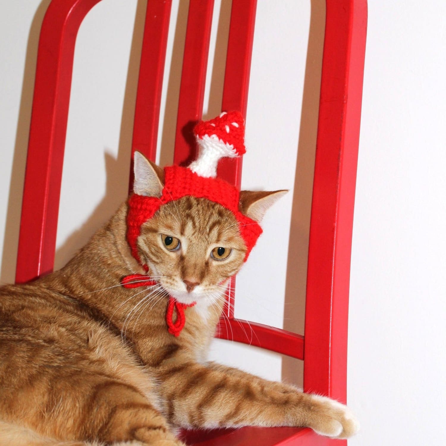 Mushroom Crochet Cat Hat Cat - Cap - Dad Gifts - Ear Hat 