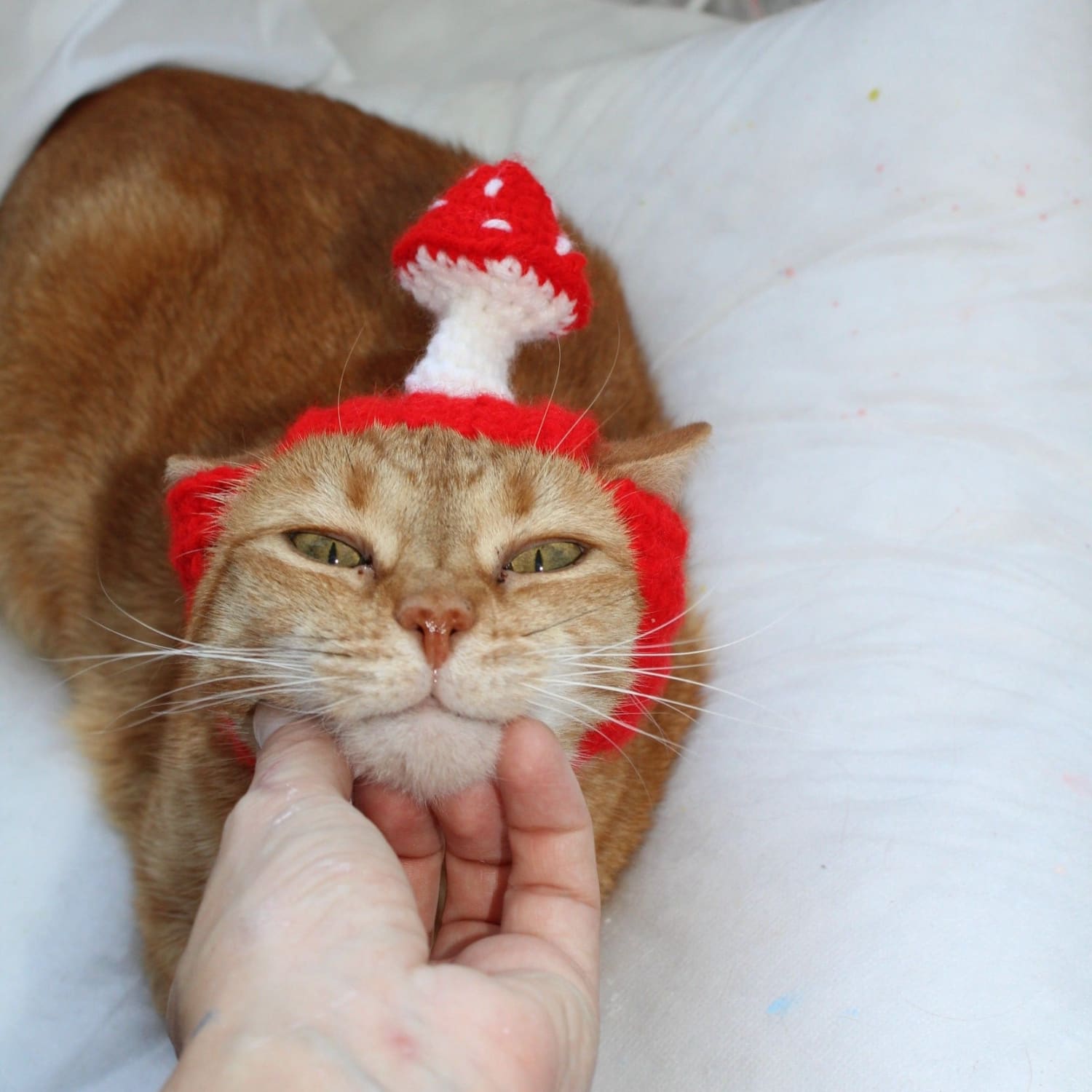 Mushroom Crochet Cat Hat Cat - Cap - Dad Gifts - Ear Hat 