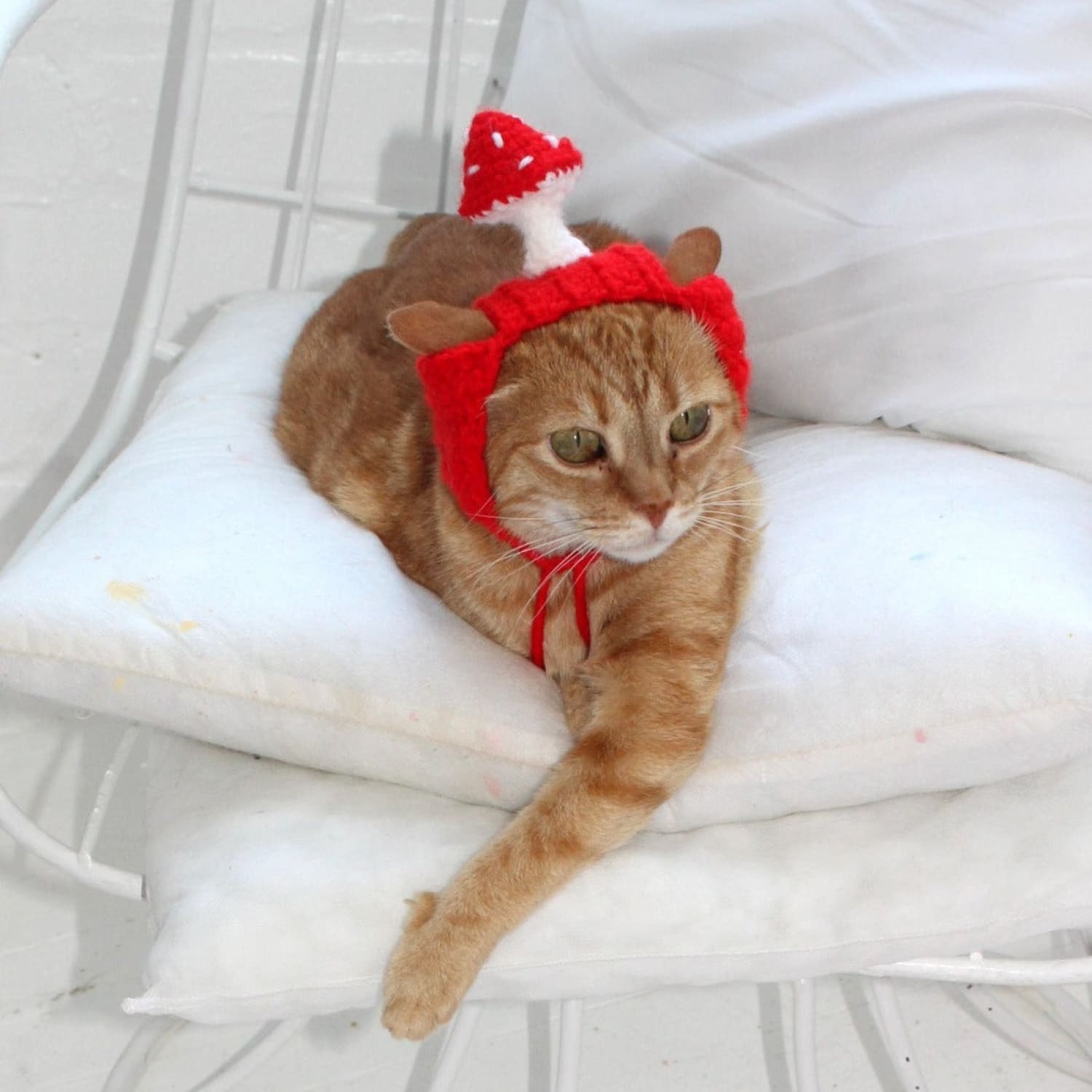 Mushroom Crochet Cat Hat Cat - Cap - Dad Gifts - Ear Hat 
