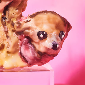 Paris Hilton Candle Janiekorn