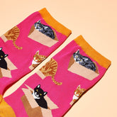 Cat In a Box - Women’s Novelty Socks Animal Novelty - Cat -