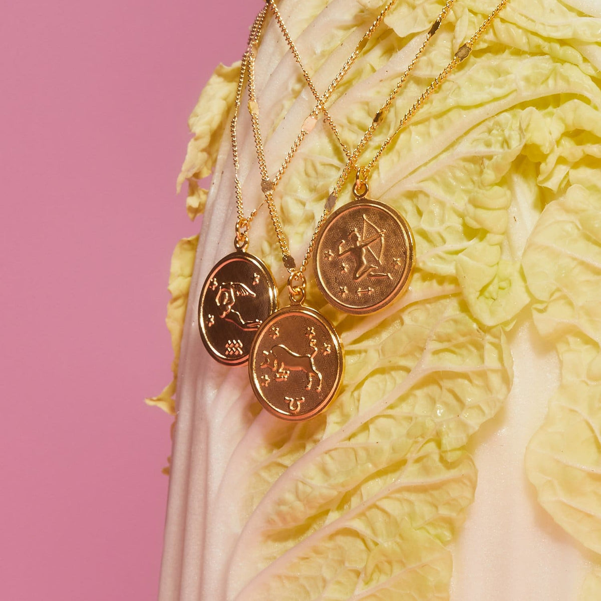Zodiac Medallion Necklace Aquarius - Aries - Astrology 